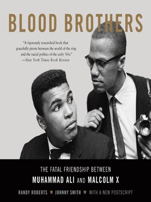 Blood Brothers - Audiobook